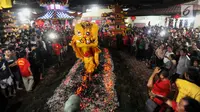 Sebuah barongsai melakukan atraksi Tahwe atau menginjak bara api di Hok Tek Bio Cibinong, Bogor, Sabtu (17/3). Tradisi injak bara tersebut dalam rangka rangkaian Sejit (ulang tahun) Kongco Ho Tek Tjeng Sin atau Dewa Bumi. (Merdeka.com/Arie Basuki)