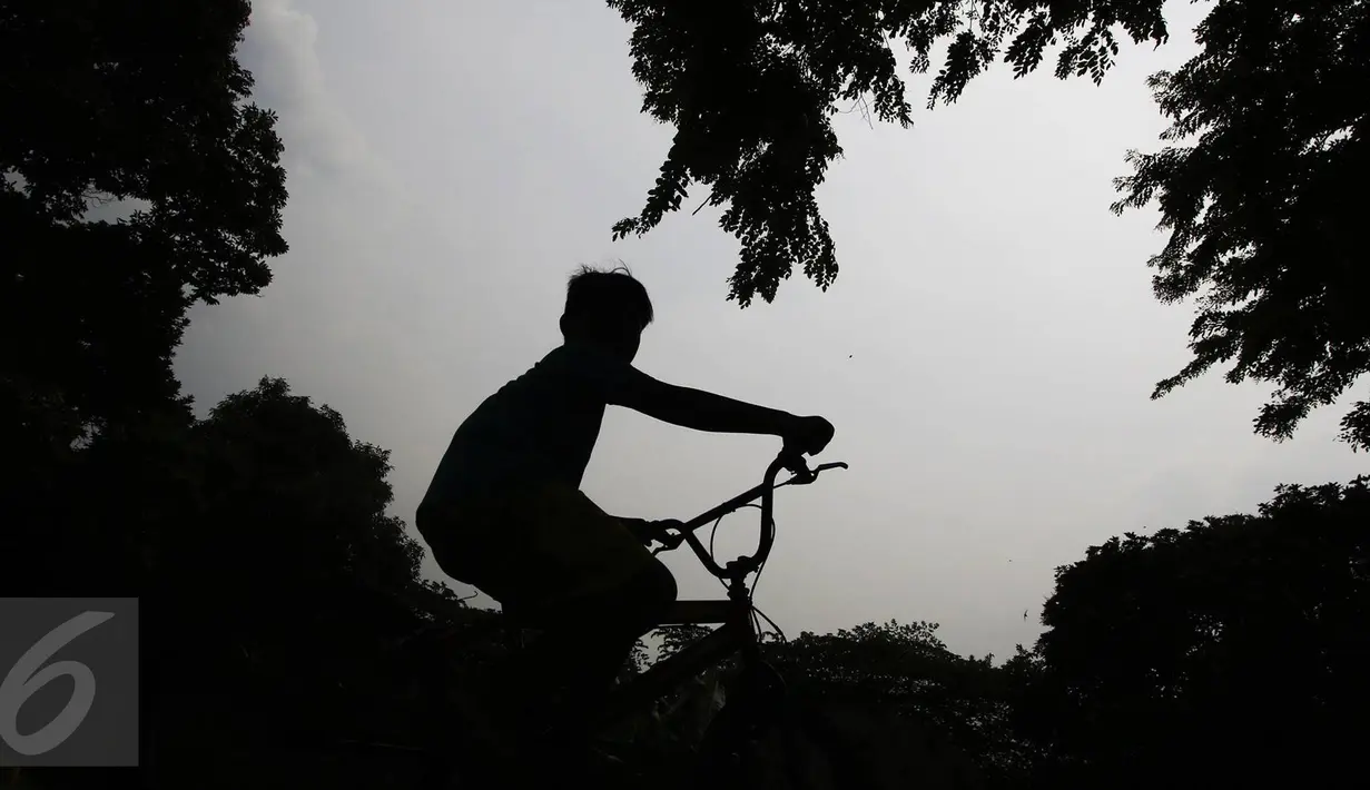 Seorang anak bermain sepeda di sekitar Taman Salam, Jati Padang, Jakarta, Selasa (18/10). Taman yang letaknya tersembunyi di antara pemukiman warga tersebut menjadi lokasi favorit bagi warga sekitar untuk melepas penat. (Liputan6.com/Immanuel Antonius)