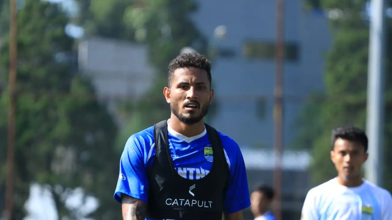 Wander Luiz, Persib Bandung