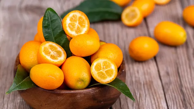 buah jeruk Kumquat