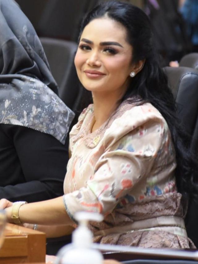 Krisdayanti Hadiri Rapat Usulan RUU Pengawasan Obat dan Makanan