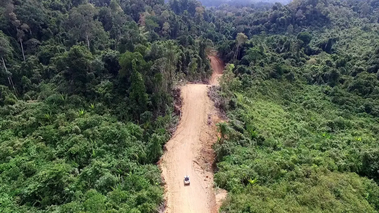 Jalan Perbatasan Kalimantan (Foto: Dokumentasi Ditjen Bina Marga Kementerian Pekerjaan Umum)