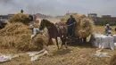 Seorang pengemudi kereta kuda membawa gandum ke sebuah pabrik di sebuah peternakan di provinsi Delta Nil al-Sharqia, Mesir, Rabu (11/5/2022). Mesir sedang mencoba untuk meningkatkan produksi gandum dalam negeri karena perang di Ukraina telah tegang pasokan gandum internasional. (AP Photo/Amr Nabil)