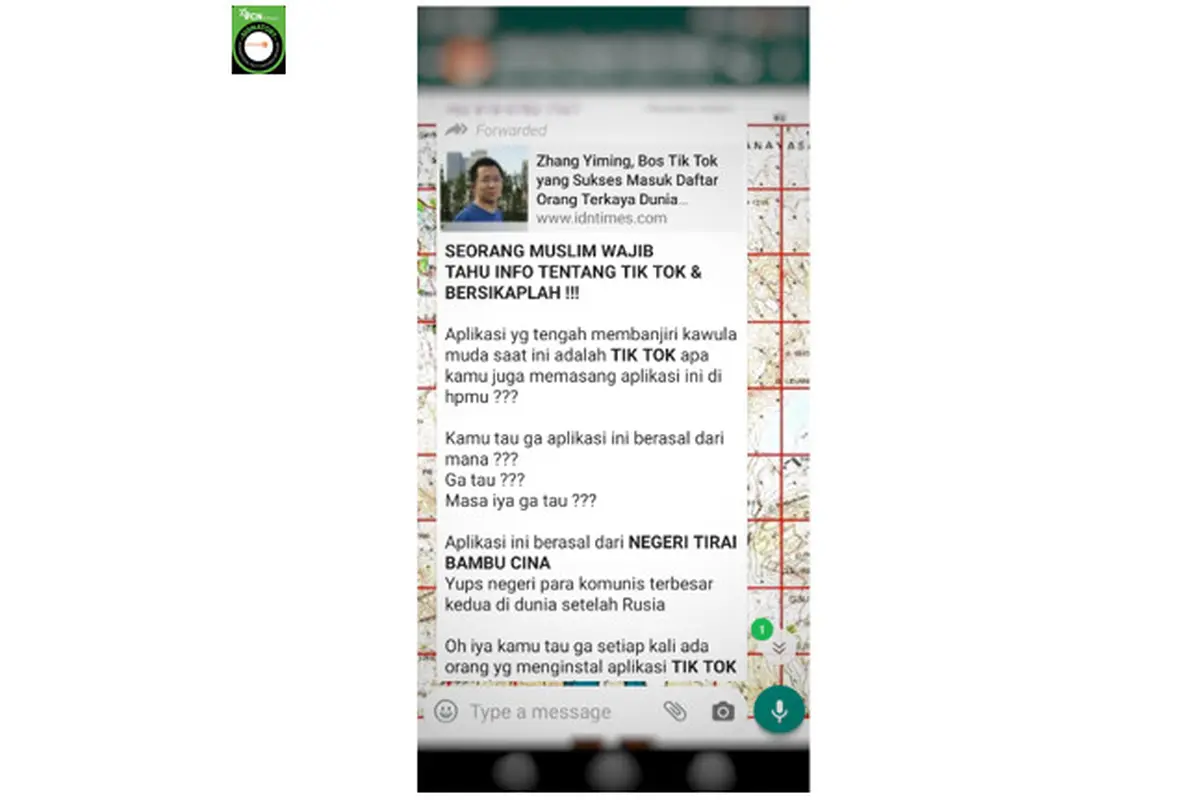 potongan gambar klaim pendapatan Tik Tok