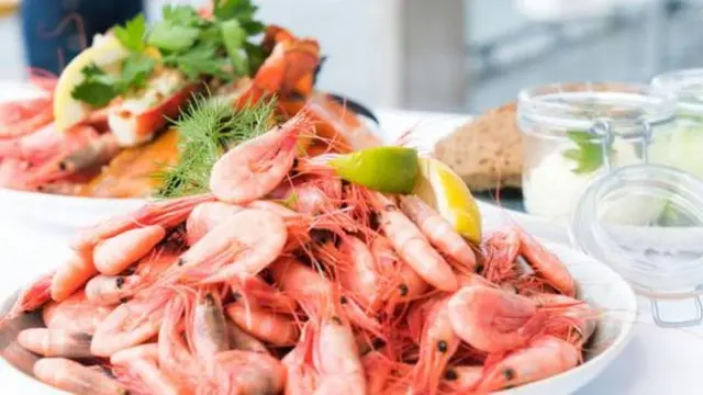 Udang Kecil atau Rebon| copyright pexels.com/Terje Sollie