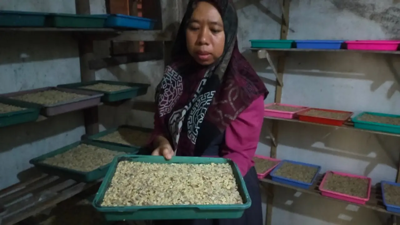 Melihat Produksi Tempe Kacang Khas Malang, Gurih dan Kaya Gizi