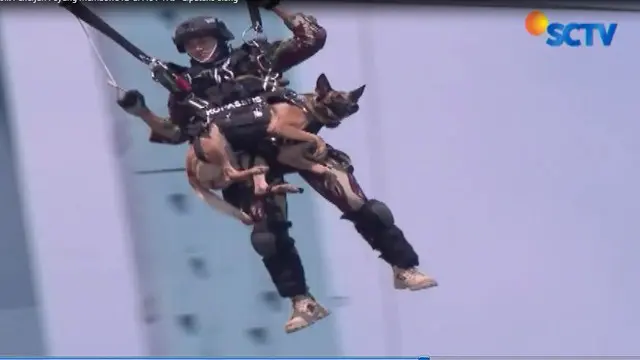 Aksi heroik 6 penerjun payung Kopassus yang membawa anjing di HUT ke-72 TNI berhasil pecahkan rekor MURI.