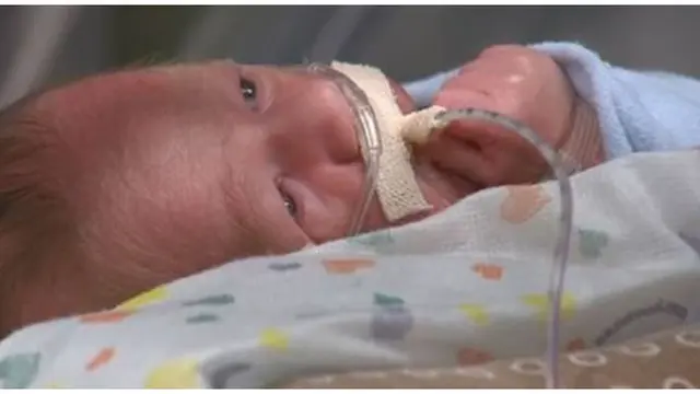 Foto : copyright oddee.com