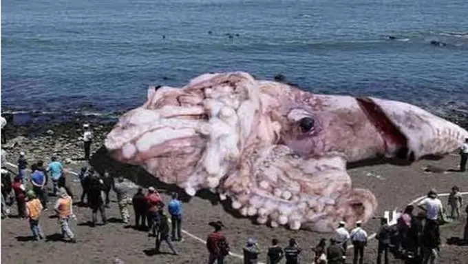 (c) orlandosentinel.com