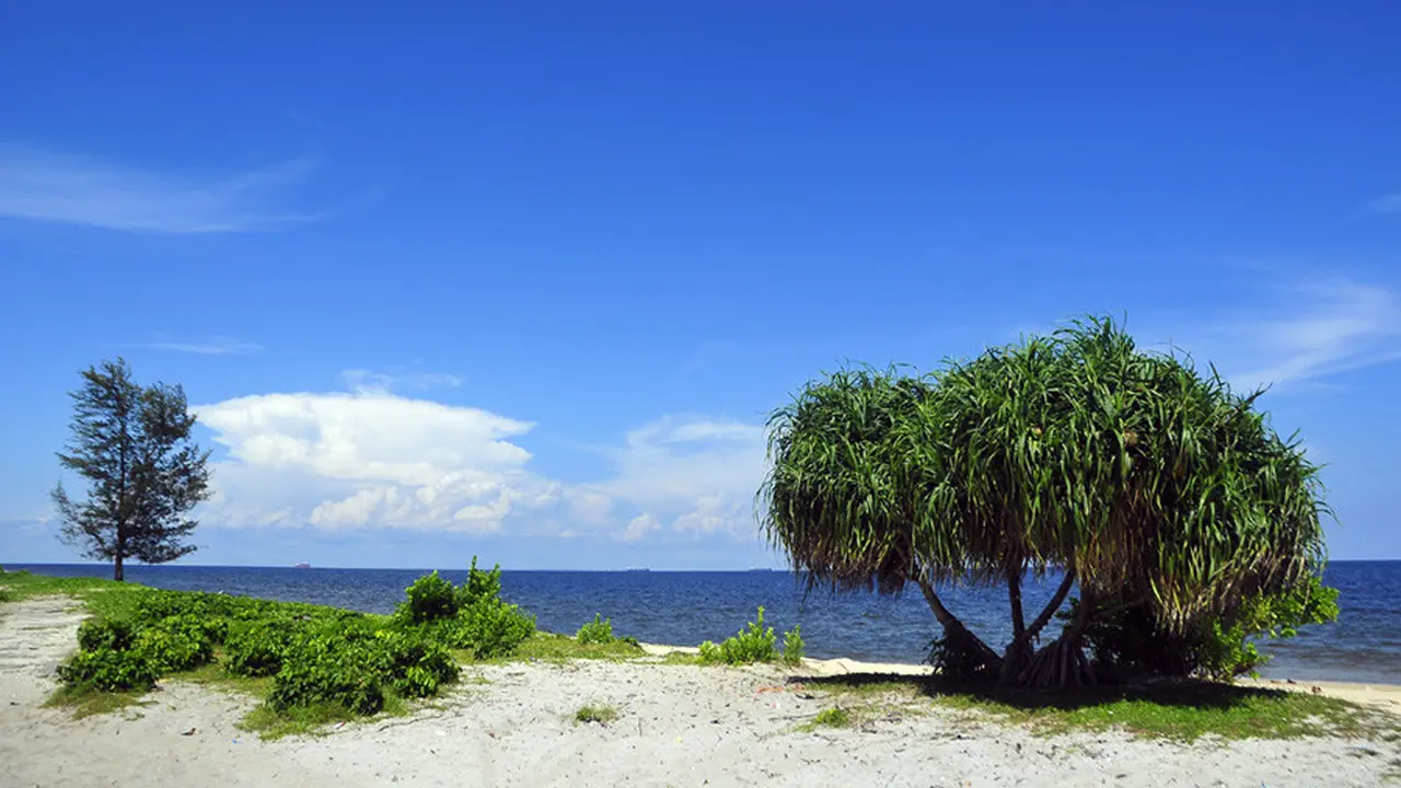 [Bintang] Kalimantan
