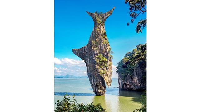 Pria Ini Bikin Manipulasi Foto Padukan Alam dan Hewan, 6 Hasilnya Bikin Takjub