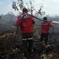 Petugas memadamkan kebakaran lahan di Pulau Rupat, Kabupaten Bengkalis, beberapa waktu lalu. (Liputan6.com/M Syukur)