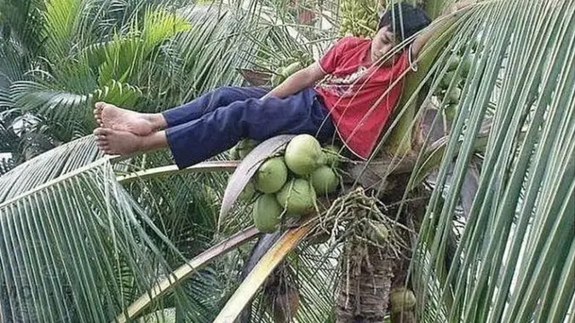 6 Tingkah Absurd Orang Rebahan di Tempat Tak Terduga, Netizen: Kok Bisa Ya?