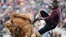 Seorang Gaucho nyaris terjatuh dalam Criolla del Prado di Montevideo, Uruguay, Rabu (12/4). Selama Pekan Paskah, para gauchos dari Amerika Selatan bersaing dalam kompetisi. (AP Photo / Matilde Campodonico)