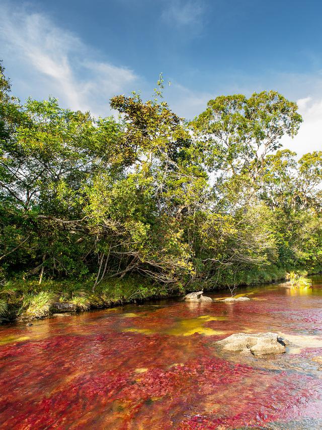 Serranía de La Macarena