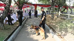 Paspampres mengerahkan anjing pelacak saat sterilisasi TMP Kalibata jelang pemakaman Presiden ke-3 RI BJ Habibie, Jakarta, Kamis (12/9/2019). Semua yang masuk kawasan TMP Kalibata dilakukan pengecekan. (Liputan6.com/Immanuel Antonius)