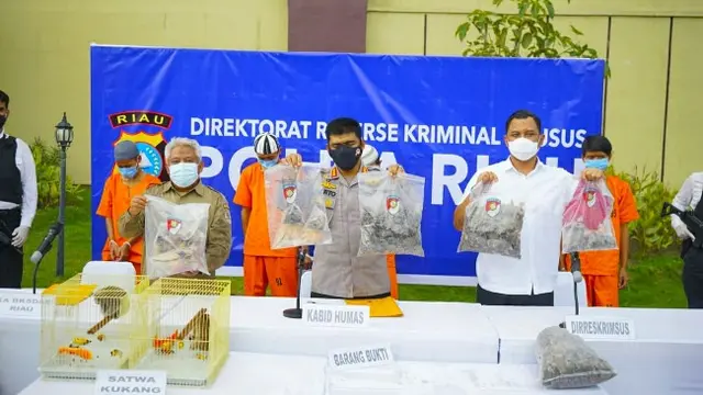 Konferensi pers pengungkapan penjualan paruh burung rangkong dan satwa dilindungi lainnya di Polda Riau.
