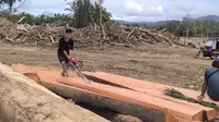 Korban Banjir di Tapsel Manfaatkan Kayu Hanyut untuk Perbaiki Rumah dan Jembatan