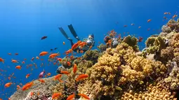 Penyelam Inggris Temukan Desa Abad Pertengahan yang Hilang di Bawah Laut