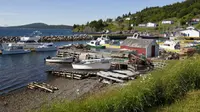 Unik, Desa di Kanada Ini Diberi Nama Dildo (sumber. Huffingtonpost.com)