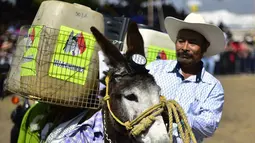 Seorang pria membawa keledainya yang dihias saat mengikuti National Donkey Fair di Otumba, Meksiko (1/5). Acara tahunan ini diikuti sekitar 7.000 orang. (AFP Photo/Pedro Pardo)