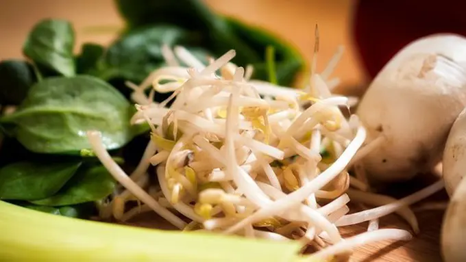 Menjaga kesegaran taoge./Copyright pixabay.com