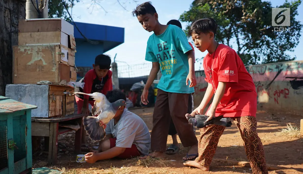 Anak-anak bermain dengan burung merpati di kawasan Tanah Abang, Jakarta, Selasa (23/7/2019). Pada peringatan Hari Anak Nasional yang jatuh 23 Juli, masih banyak anak-anak Indonesia yang belum dapat memiliki ruang bermain layak. (Liputan6.com/Immanuel Antonius)