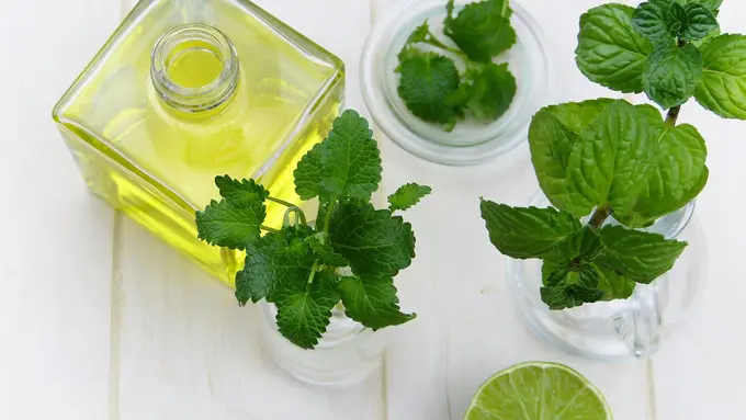 Peppermint Oil
