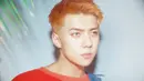 Sebelumnya diberitakan jika Sehun EXO melebarkan sayapnya ke dunia akting. Lantaran ia ikut bermain dalam sebuah variety show yang berjudul Busted. (Foto: Soompi.com)