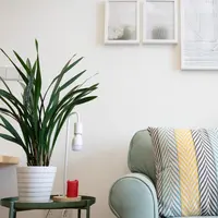 dekorasi rumah | unsplash.com/@tli427