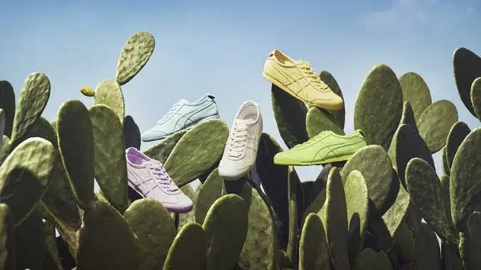 Onitsuka Tiger MEXICO 66 CACTFUL