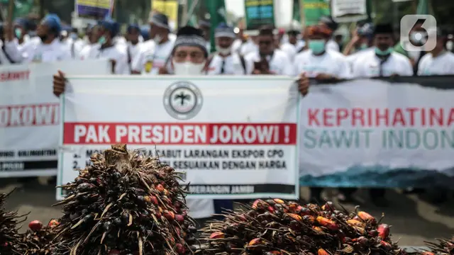 Unjuk Rasa Petani Kelapa Sawit Terkait Larangan Ekspor