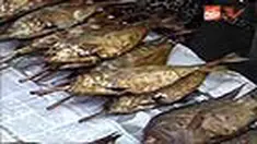 liputan6