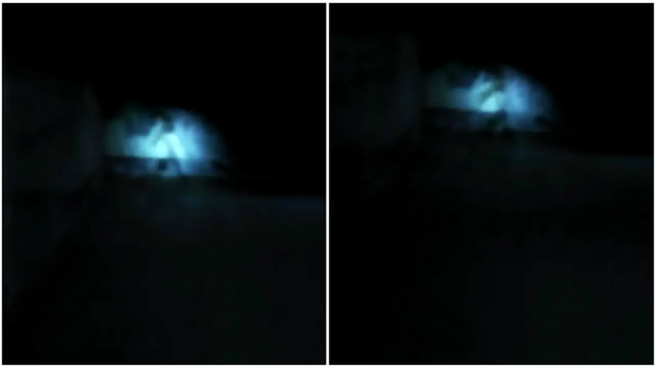 Penampakan Hantu