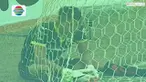 Highlights Piala Presiden 2015 antara Sriwijaya FC vs Bonek FC.
