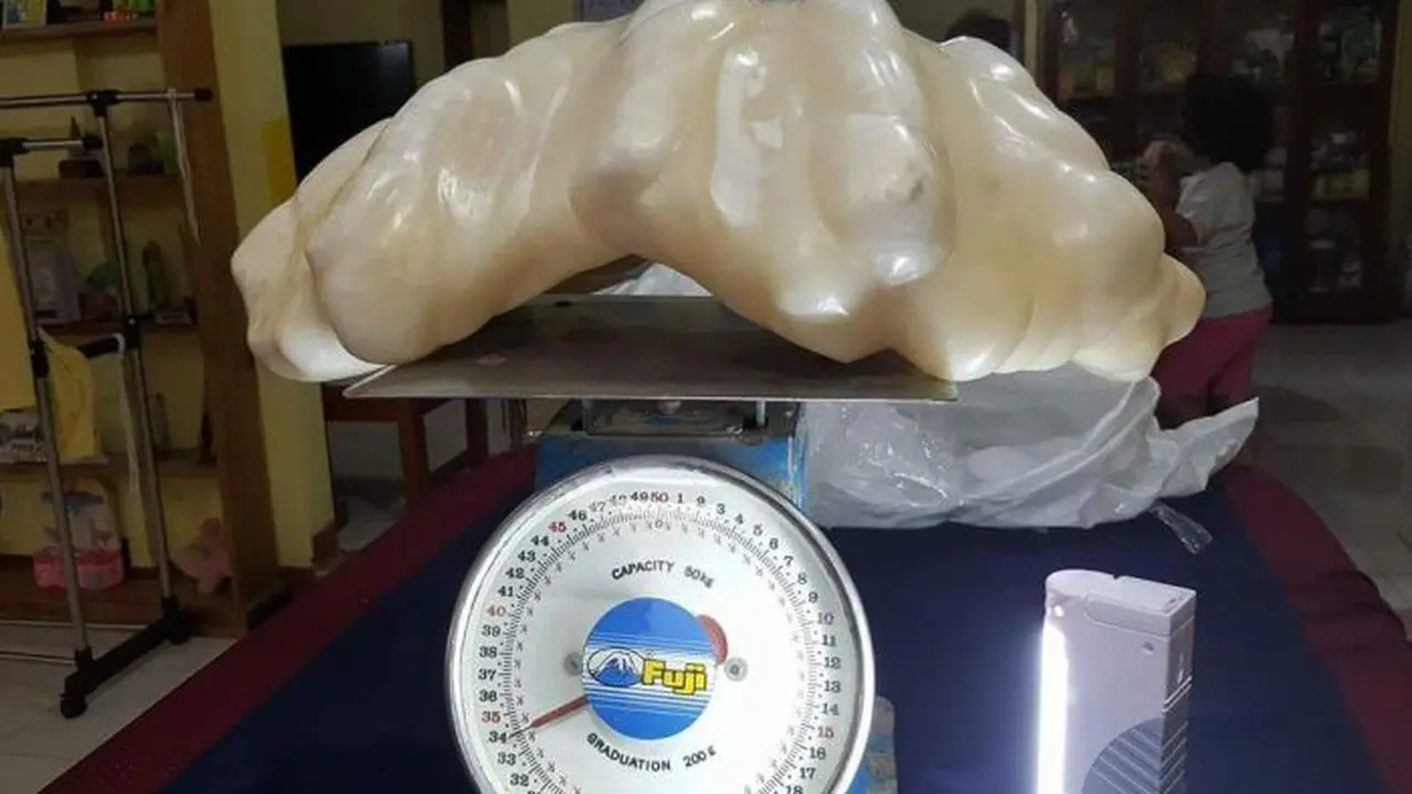 [Bintang] Mutiara