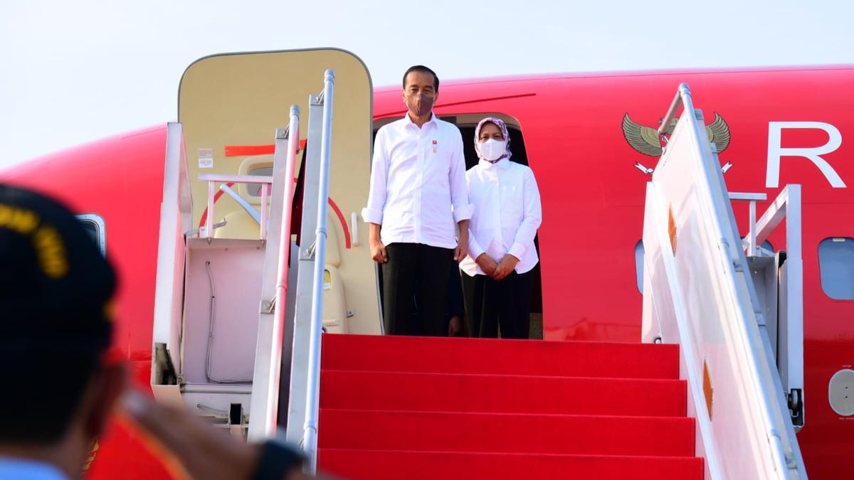 Hari Kedua di Maluku, Jokowi Akan Bagikan Bansos Hingga Bertemu Peternak Kerbau - Vimarsana News