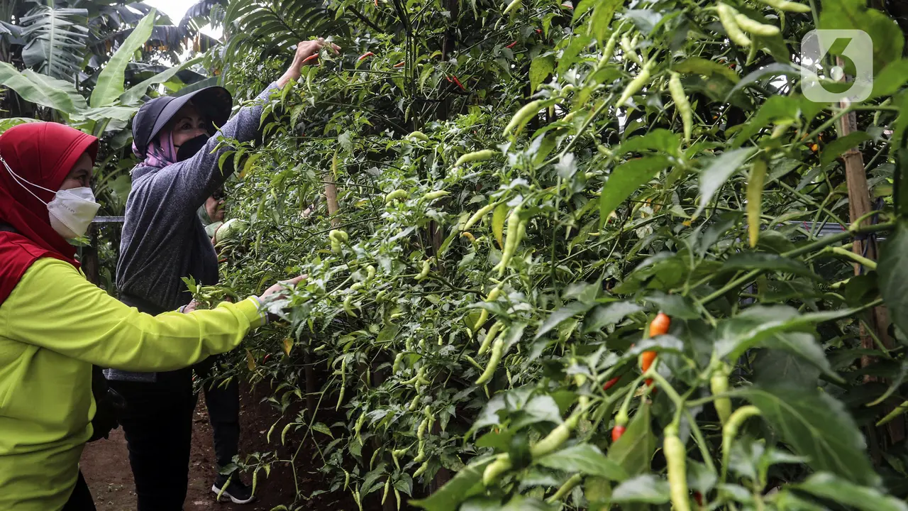 FOTO: Warga Manfaatkan Lahan Tidak Produktif Menjadi Wisata Edukasi