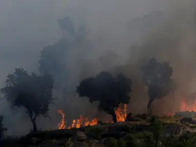 Kebakaran hutan terjadi di Lagoa, Portugal, Kamis (8/9). Dikabarkan lebih dari 100 ribu hektare hutan terbakar. (REUTERS / Miguel Vidal)