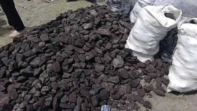 Bongkahan batu bara di pantai Peunaga Rayeuk yang sudah dipungut oleh warga ke dalam karung (Liputan6.com/Ist)