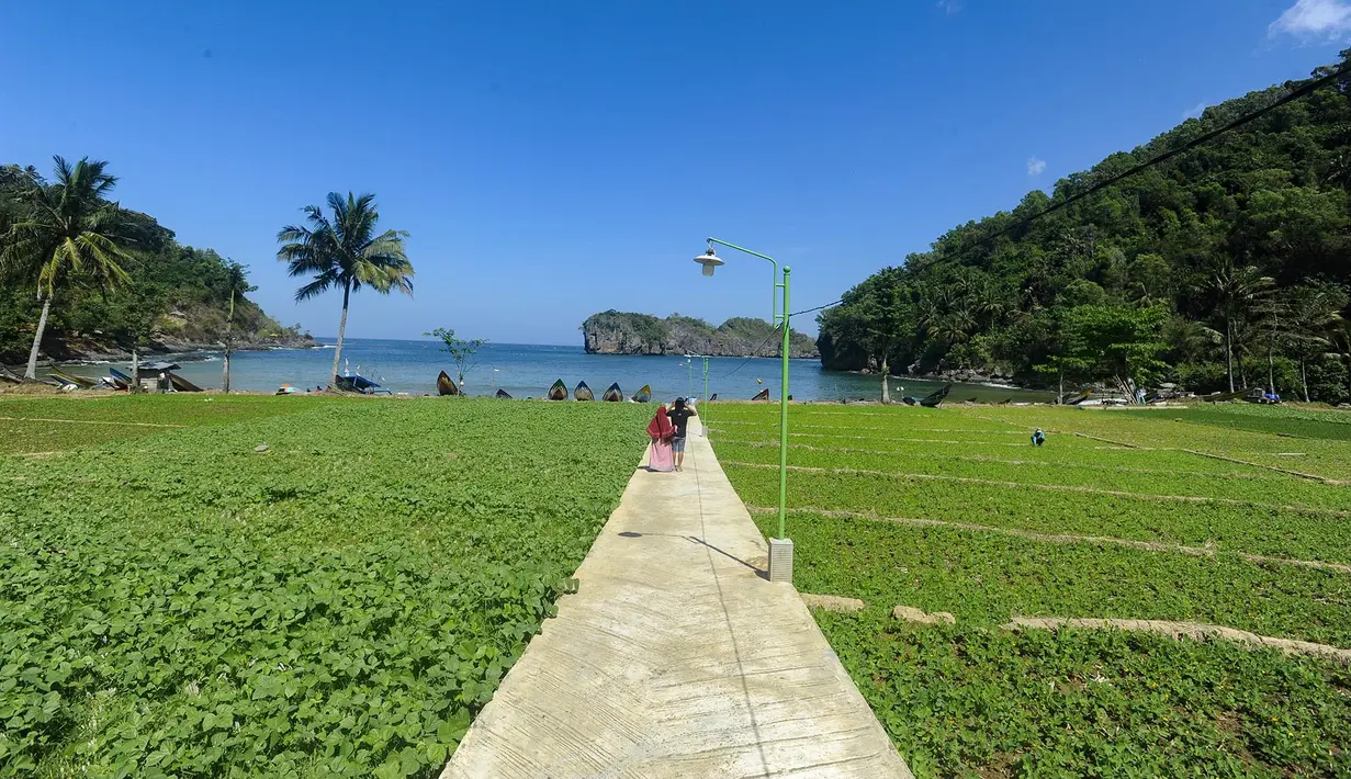Lembah Watu Pawon di Dusun Nglumpang, Desa Nglebeng, Kecamatan Panggul, Kabupaten Trenggalek, menjadi destinasi yang semakin menarik perhatian traveler pencinta ketenangan. Lokasinya sangat dekat dari Pantai Kuyon, hanya sekitar 100 meter atau cukup berjalan kaki tak sampai lima menit dari bibir pantai. (merdeka.com/Arie Basuki)