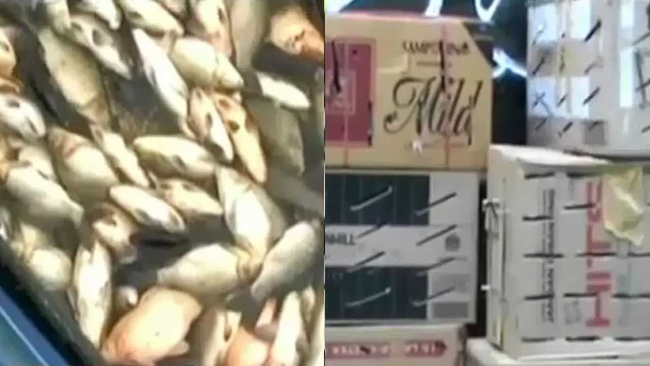 Kilas-Indonesia-141202