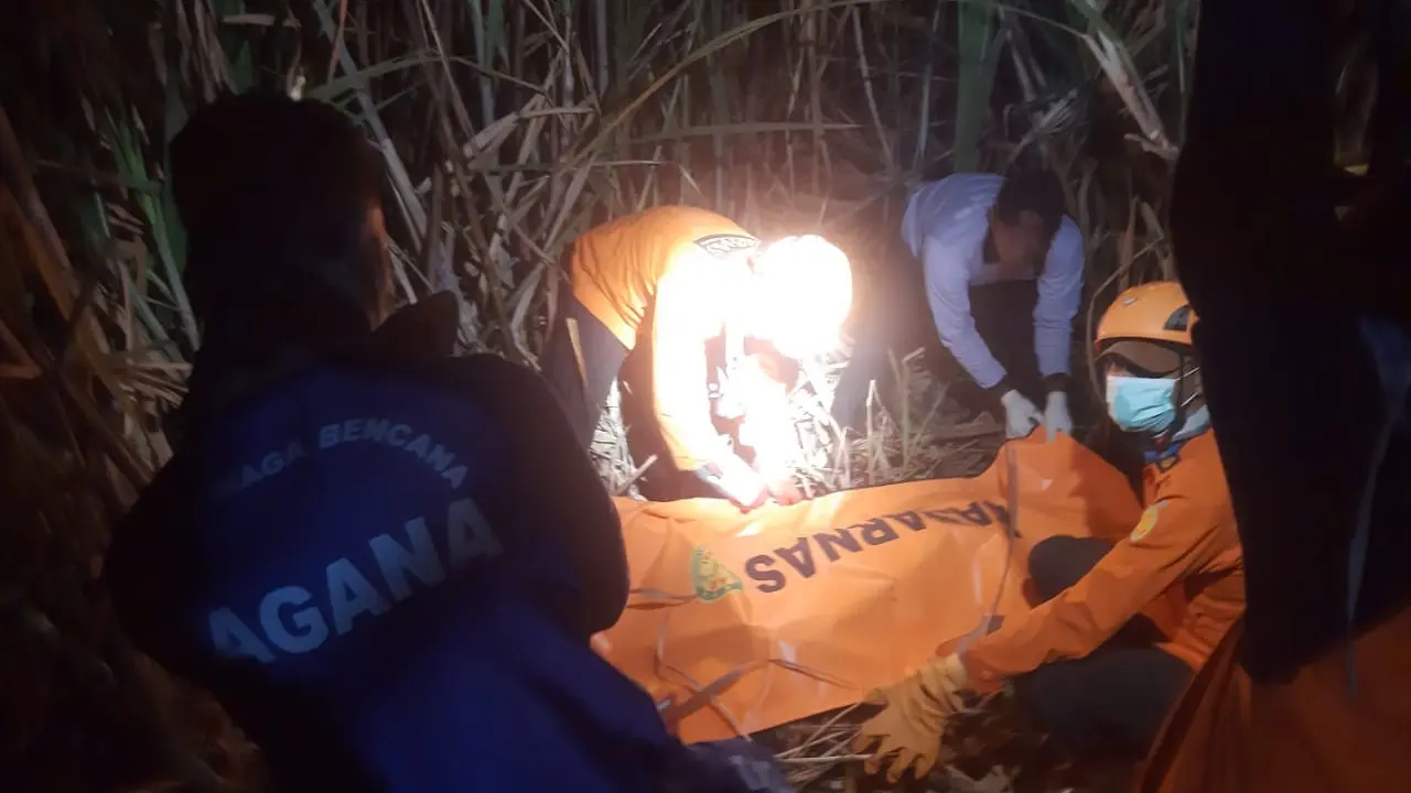 Tim SAR gabungan evakuasi jenazah Sukdin lansia yang hilang pesekan di kebun tebu Situbondo (Istimewa)