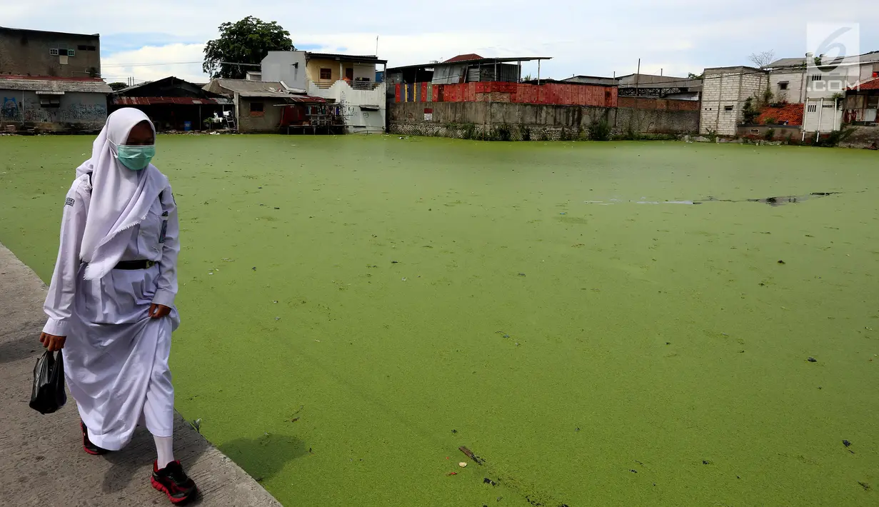 Siswi mengenakan masker melintas di jembatan penyebrangan di kawasan Kampung Apung, Jakarta, Senin (6/11). Meski kampung tersebut terendam sejak tahun 1990-an, hingga kini warga masih tetap bertahan. (Liputan6.com/JohanTallo)