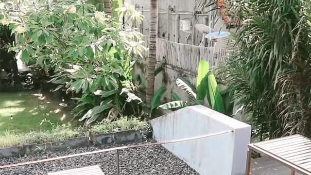 Potret ruangan outdoor di Titik Temu Coffee Bali (Youtube/Yojas TV)