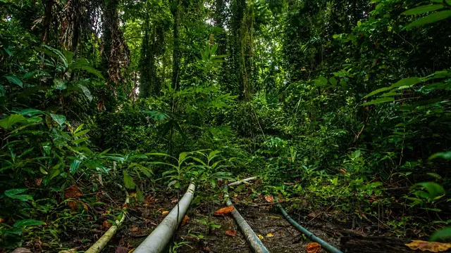 Merawat Hutan Ranjuri Sigi Lewat Batik Valiri