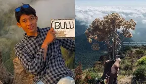 Nekat Petik Bunga Edelweis, Pendaki Gunung Lompobattang Kena Blacklist 10 Tahun