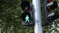 Penganut Teori Konspirasi Sebut Lampu Lalu Lintas Bisa Membunuh Manusia