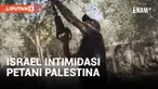 Produksi minyak zaitun di Tepi Barat, salah satu hasil utama agrikultur wilayah tersebut, diperkirakan anjlok tahun ini. Serikat petani mengatakan bahwa intimidasi dan kekerasan dari pemukim Israel terhadap petani Palestina, membuat petani takut mema...