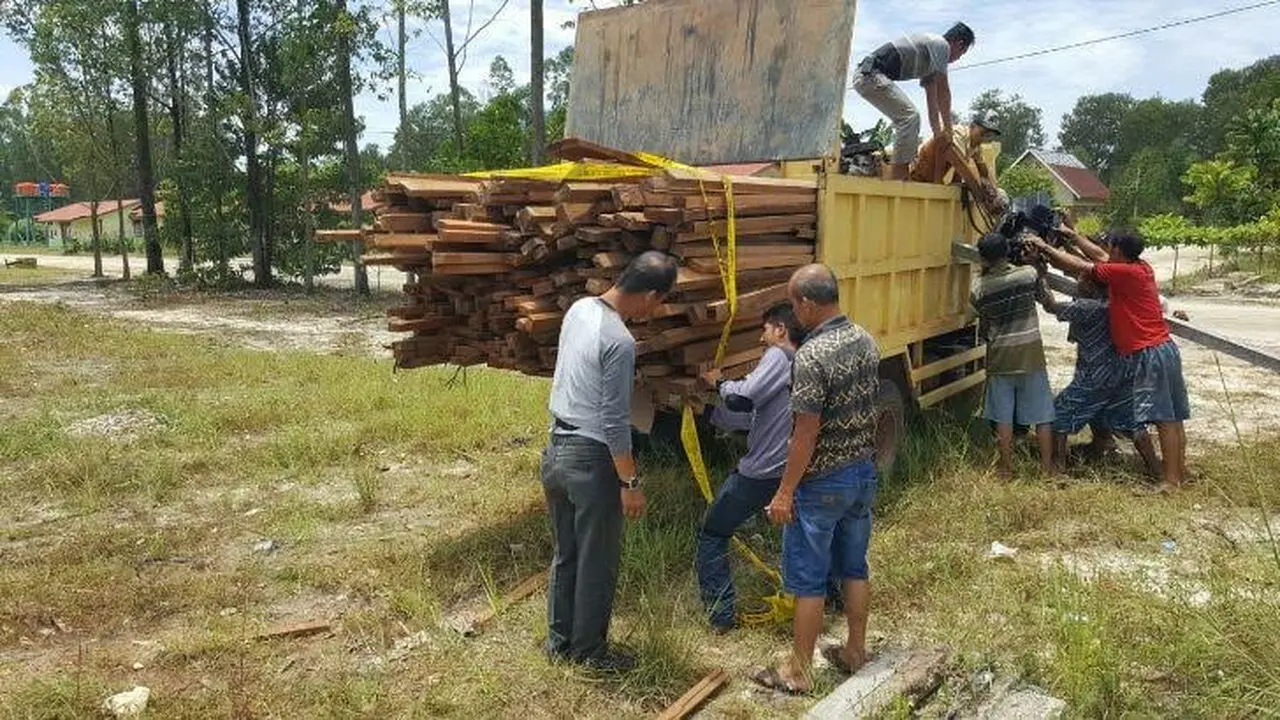 Beking Pembalakan Liar 